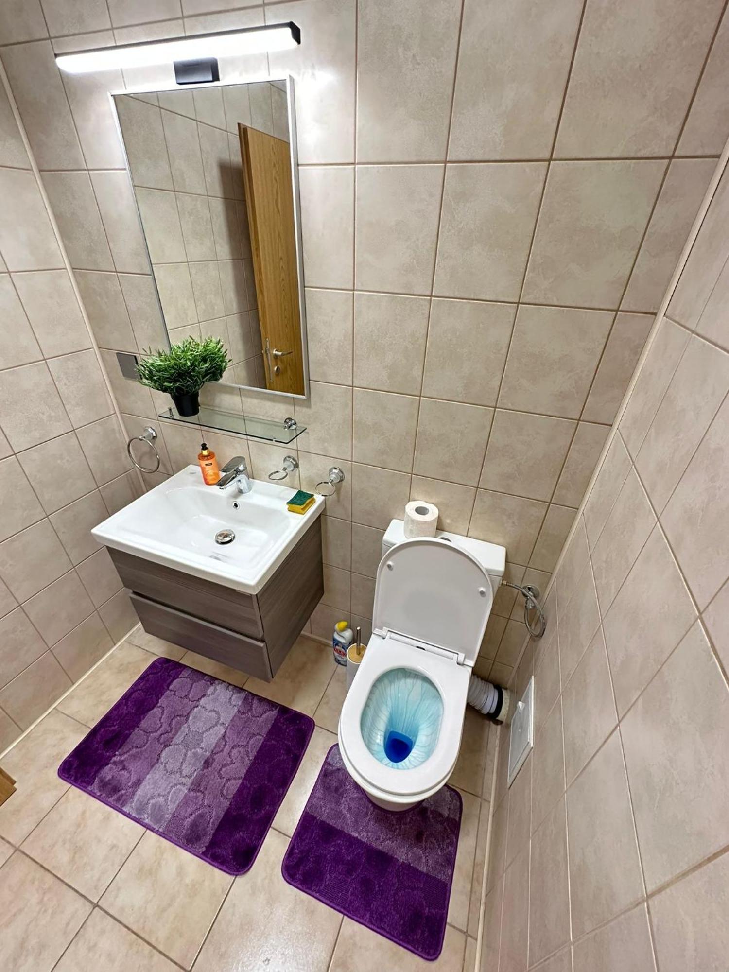 Centru Unirii Luxury Vip Palmier Apartament 2 Camere Cu Terasa Exterioara Amenajata ! Parcare Subterana Privata Climatizata Si Supravegheata Video Dar Doar Cu Rezervare In Limita Locurilor Disponibile !Proprietate In Regim Hoteliep - Nu Are Bucatarie Bukares Bagian luar foto